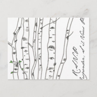 Aspen Birch Tree Grove RSVP-Briefkaart Uitnodiging Briefkaart