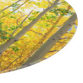 Aspen-bomen in de Herfst | Sierra Nevada bergen, C Snijplank (Hoek)