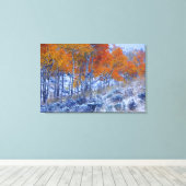 Aspen bomen in de valkleuren, Bighorn Mountains, Canvas Afdruk (Insitu (Houten vloer))