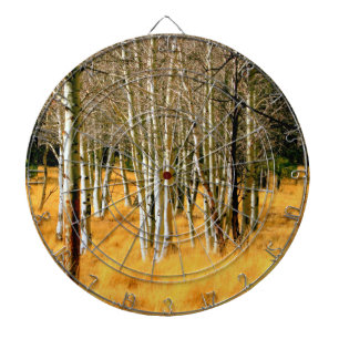 aspen bossen dart board dartbord