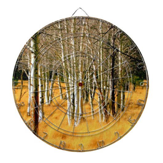 aspen bossen dart board dartbord (Voorkant)