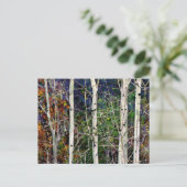 Aspen Briefkaart (Staand voorkant)