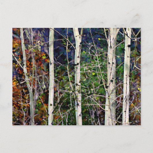 Aspen Briefkaart (Voorkant)