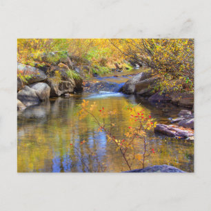 Aspen, Colorado Autumn Creek Landschap Briefkaart