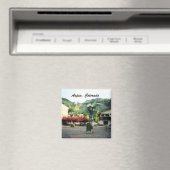 Aspen, Colorado Magneet (Insitu (Vaatwasser))