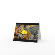 Aspen et la carte vierge de baisse de l'eau