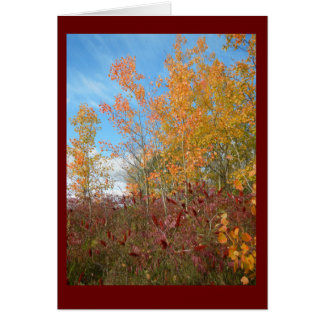 Aspen et sumacs contre la carte vierge de ciel du