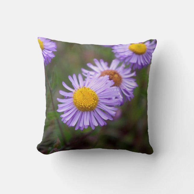 Aspen Fleabane Daisy Flower Pillow Kussen (Voorkant)