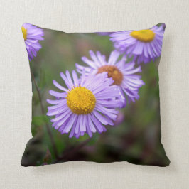 Aspen Fleabane Daisy Flower Pillow Kussen