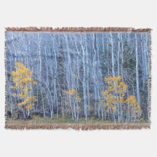 Aspen Forest Deken (Voorkant)