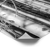 Aspen Forest Poster (Hoek)