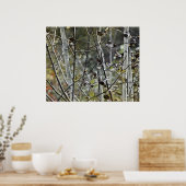 Aspen Forest Poster (Keuken)