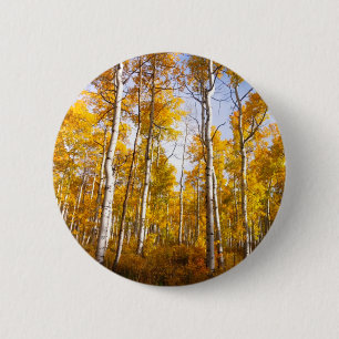 Aspen Groove Yellow Fall Leaves Ronde Button 5,7 Cm