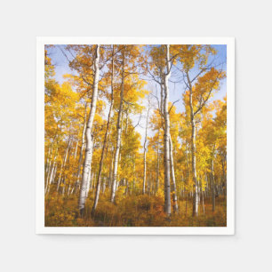 Aspen Groove Yellow Fall Leaves Servet