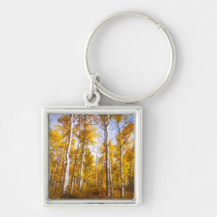 Aspen Groove Yellow Fall Leaves Sleutelhanger