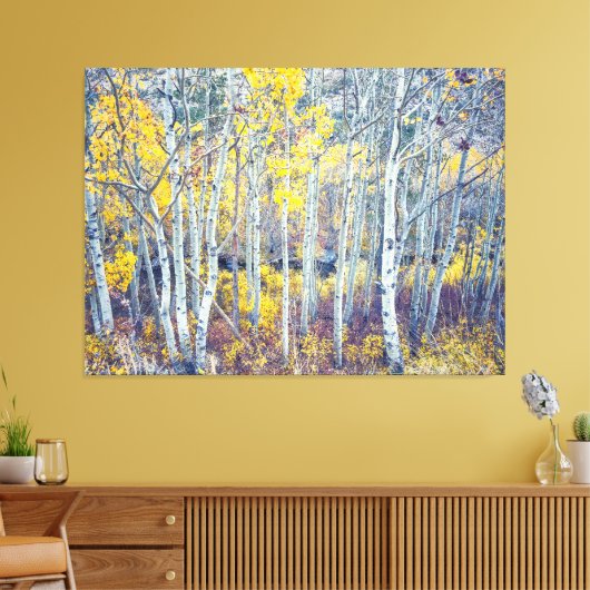 Aspen Grove Canvas Afdruk (Insitu (Woonkamer))