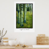 Aspen Grove, Cripple Creek, Colorado Poster (Keuken)