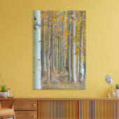 Aspen Grove in de herfst Canvas Afdruk (Insitu (Woonkamer))