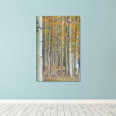 Aspen Grove in de herfst Canvas Afdruk (Insitu (Houten vloer))