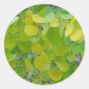 Aspen Leaf Stickers