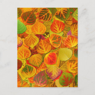 Aspen Leaves Collage Solid Medley 1 Briefkaart
