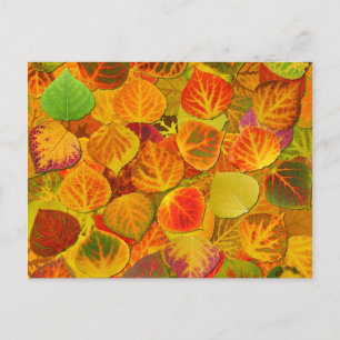 Aspen Leaves Collage Solid Medley 1 Briefkaart