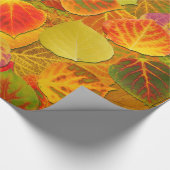 Aspen Leaves Collage Solid Medley 1 Cadeaupapier (Hoek)