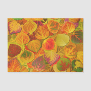 Aspen Leaves Collage Solid Medley 1 Tissuepapier