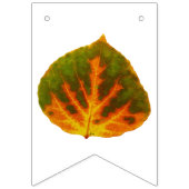 Aspen Leaves Medley Vlaggetjes (Derde vlag)