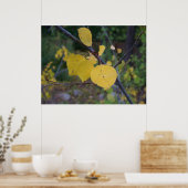 Aspen Leaves Poster (Keuken)