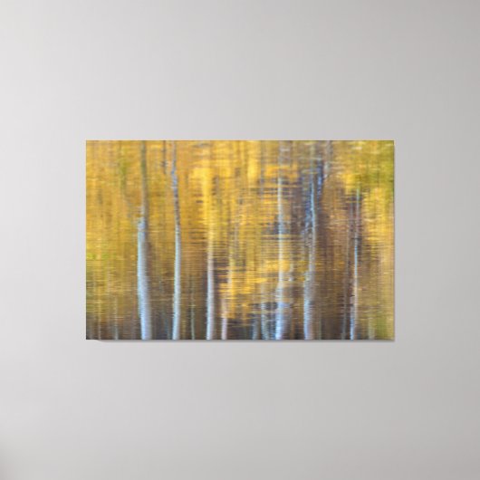 Aspen Reflections Canvas Afdruk (Voorkant)