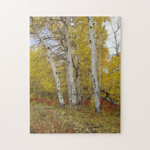 Aspen Splendor Natuur Puzzle Legpuzzel