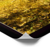 Aspen Tree, Cripple Creek, Colorado Poster (Coin)