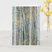 Aspen Tree Trunks | Aspen, Colorado Kaart (Gele Bloem)