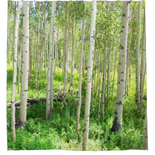 Aspen Trees Douchegordijn