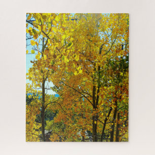 Aspen Trees Fall Leaves Legpuzzel