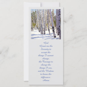 Aspen Trees in het bos