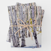 Aspen Trees in het bos Inpakpapier Vel (In situ)