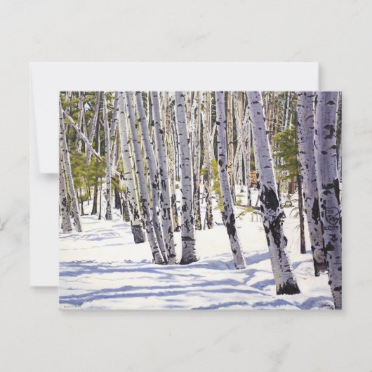 Aspen Trees in het bos Kaart (Voorkant)