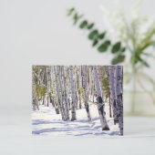 Aspen Trees in het bos Kaart (Staand voorkant)