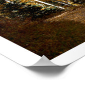 Aspen Trees Poster (Hoek)