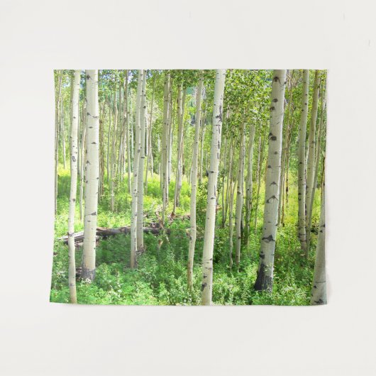 Aspen Trees Wandkleed (Voorkant (horizontaal))