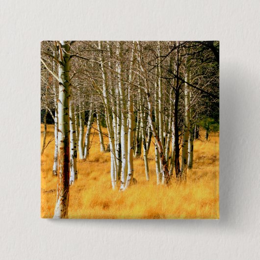 aspen woods button (Voorkant)