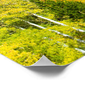 Aspens Aflame Poster (Hoek)