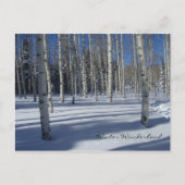 Aspens en hiver carte postale (Devant)