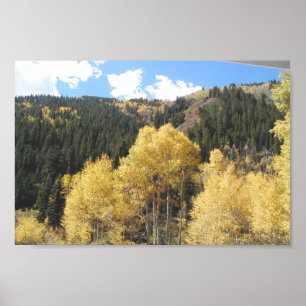 Aspens in Herfst, op Shultz Pass Road nabij person Poster