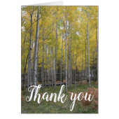 Aspen's Yellow Glow merci (Devant)