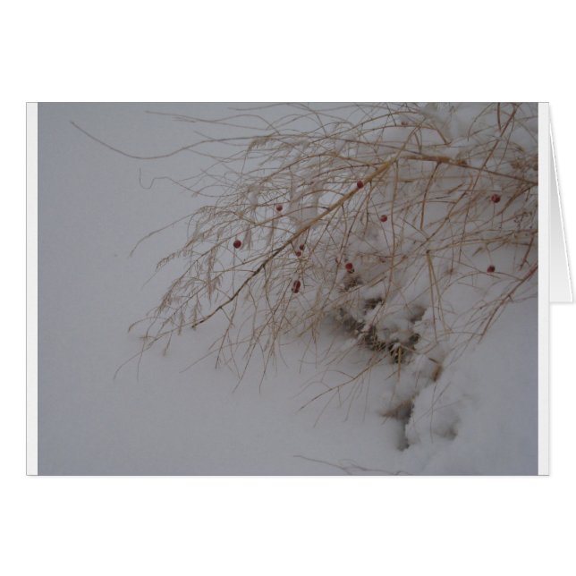 Asperges allant semer (Devant Horizontal)