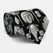 Aspidonia van Ernst Haeckel Stropdas (Opgerold)