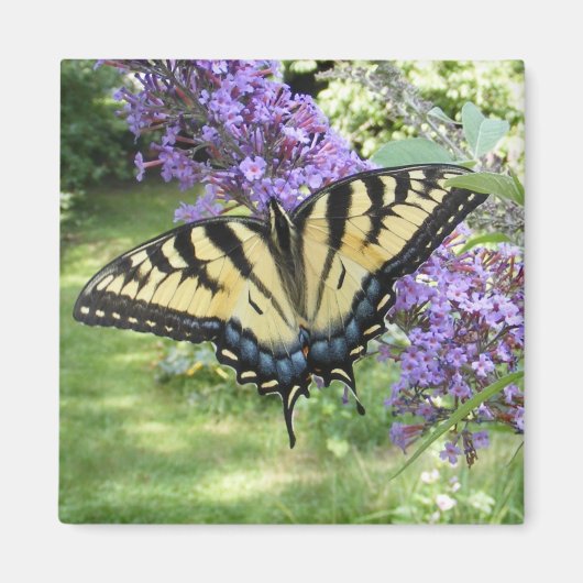 Aspirateur 94 ~ aimant (Devant)